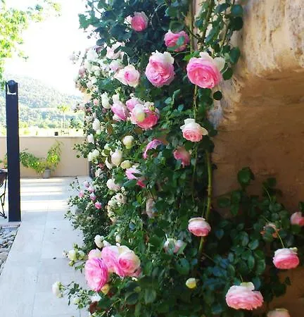 Le Jour Et La Nuit, Bed & Breakfast Vaison-la-Romaine